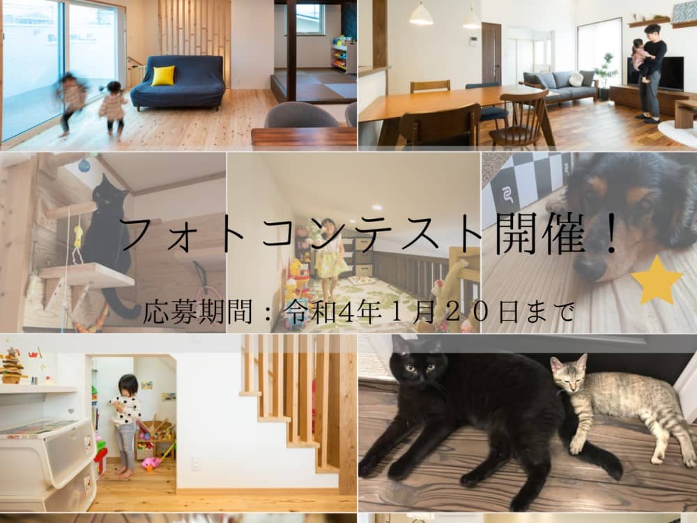フォトコンテスト開催中!!