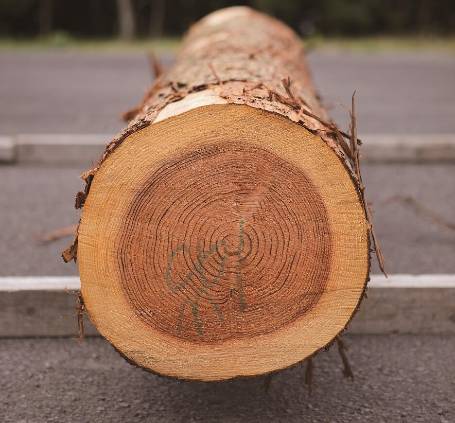 音響熟成木材と健康の関係④～空気浄化～