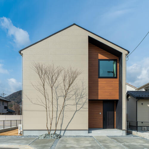 トレンド外観と家事楽動線の家